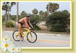 Marineland Triathlon Bike